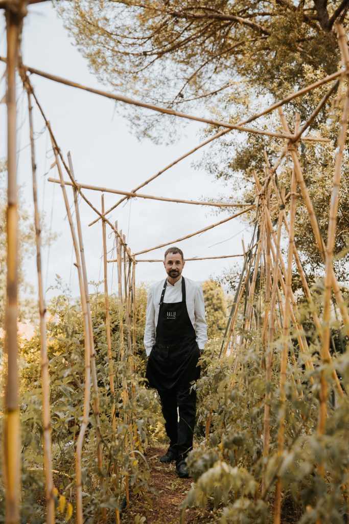 Chef privado profesional caminando entre cultivos agrícolas, vestido con chaqueta blanca y delantal negro, reflejando una cocina de proximidad, sostenible y de alta calidad, basada en el producto fresco y de temporada.